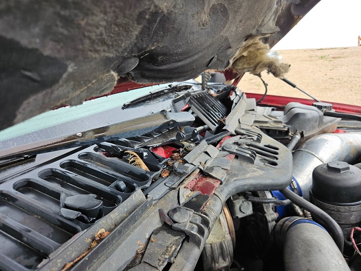 2003-ford-f250-image-52