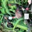 2018-john-deere-5075e-image-41