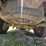 2006-ford-f350-image-55