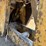 2003-caterpillar-314c-image-12