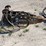 #20720-•-striker-hydraulic-hammer-excavator-attachment-image-6