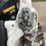 2021-bobcat-s64-image-11