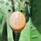 2016-john-deere-5055e-image-27
