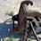 #20720-•-striker-hydraulic-hammer-excavator-attachment-image-12