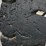 #18788-•-solid-loader-tires-image-12