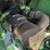 2016-john-deere-5055e-image-36