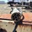 ingersoll-rand-p185jd-image-7