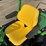 2007-john-deere-1445-image-13