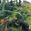 2010-summers-mfg-32ft-disk-chisel-222-image-10