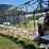 ag-chem-rogator-854-image-10