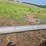 #137-•-dust-pipe-image-11