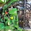 2022-john-deere-5055e-image-20