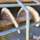 flexi-coil-g1110.b0-m04696-air-seed/caddy-image-14