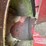 case-ih-9180-image-25