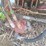 #141-•-belt-conveyor-image-13