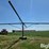 west-pt-design-shade-all-livestock-shade-image-7