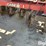 case-ih-2800-image-13