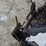 2013-bobcat-s750-image-10