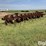 krause-4608-r3-image-7