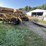 haybuster-8000-image-2