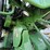 john-deere-9860-sts-image-44
