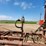 wilrich-30ft-chisel-plow-17-image-8