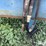 kinze-840-image-11