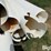 shop-built-trailer-w/poly-pipe-image-12