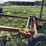rowse-d9-image-10