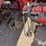 case-ih-2800-image-20