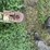 steiger-lion-1000-image-32