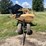 lexion-f535-image-8