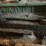 #117-•-shop-built-in-floor-barn-sweep-image-5