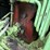 steiger-lion-1000-image-12