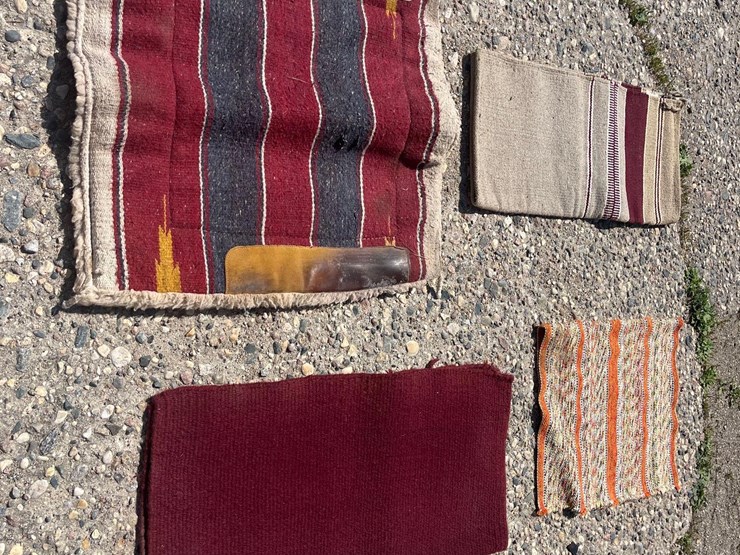 horse-blankets-image-3