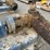 water-pump-with-motor-image-4