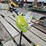 #439-•-metal-yard-art-image-10