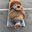 water-pump-with-motor-image-3