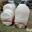 220-gallon-saddle-tanks-image-6
