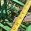 john-deere-960-image-19