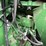 2010-john-deere-9530-image-20