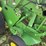 john-deere-568-image-31