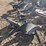 case-ih-3-image-6
