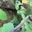 john-deere-3975-image-7