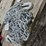 #424-•-new-14'-chain-w/-3/8"-hook-image-2