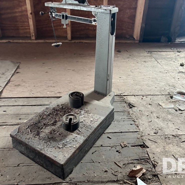 Platform Scale (DR11919)