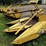 new-holland-790-image-47