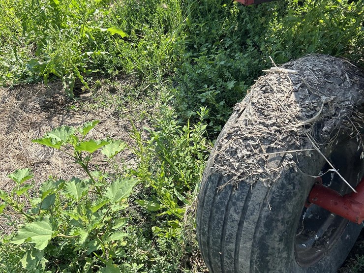 case-ih-8220-image-24