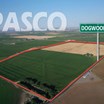 columbia-basin-north-pasco-irrigated-real-estate-auction-image