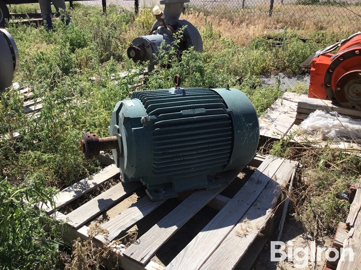 2006-flowserve-mk3std-pump-w/motor-image-7